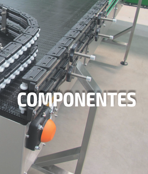 Componentes